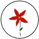 About-Flowers3.png
